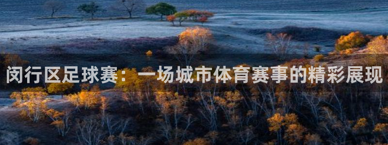  闵行区足球赛：一场城市体育赛事的精彩展现