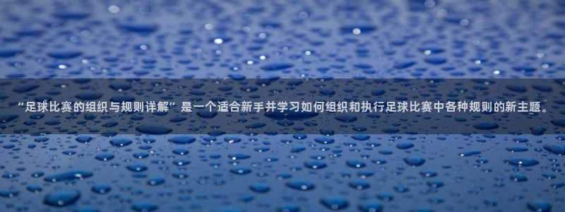  “足球比赛的组织与规则详解”是一个适合新手并学习如何组织和执