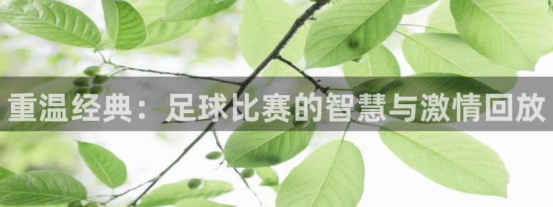  重温经典：足球比赛的智慧与激情回放