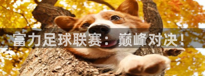 富力足球联赛：巅峰对决！