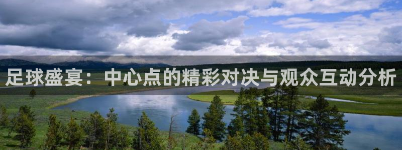 足球盛宴：中心点的精彩对决与观众互动分析