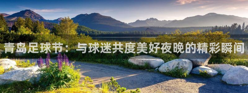  青岛足球节：与球迷共度美好夜晚的精彩瞬间