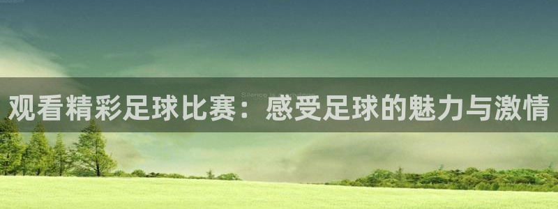  观看精彩足球比赛：感受足球的魅力与激情