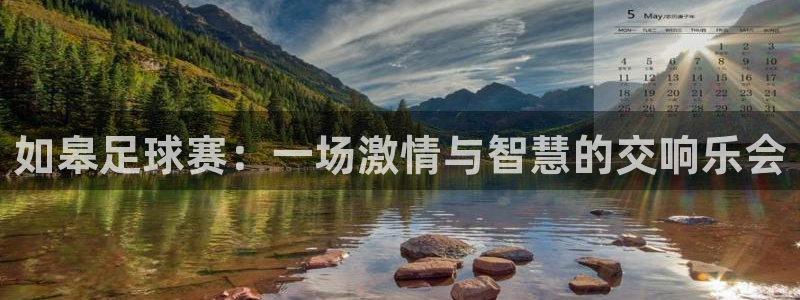 如皋足球赛：一场激情与智慧的交响乐会