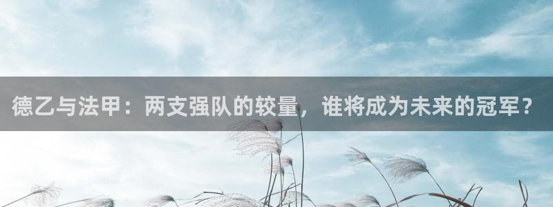 德乙与法甲：两支强队的较量，谁将成为