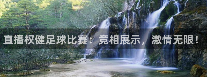 直播权健足球比赛：竞相展示，激情无限
