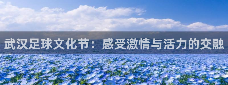 武汉足球文化节：感受激情与活力的交融