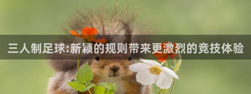 三人制足球:新颖的规则带来更激烈的竞技体验