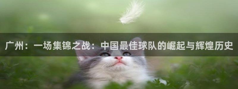 广州：一场集锦之战：中国最佳球队的崛起与辉煌历史