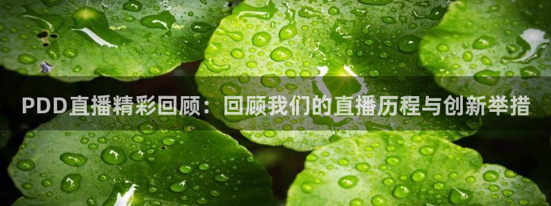 so米体育在线直播免费观看：PDD直播精彩回顾：回顾我们的直播历程与创新举措
