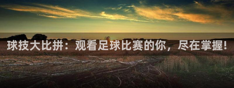 球技大比拼：观看足球比赛的你，尽在掌