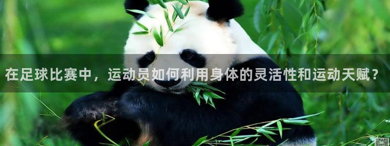 在足球比赛中，运动员如何利用身体的灵