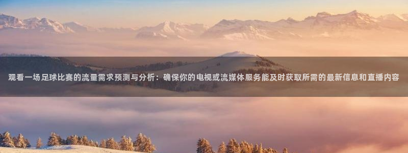 观看一场足球比赛的流量需求预测与分析