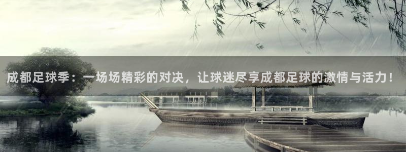 成都足球季：一场场精彩的对决，让球迷