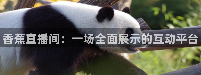so米体育在线高清直播：香蕉直播间：一场全面展示的互动平台